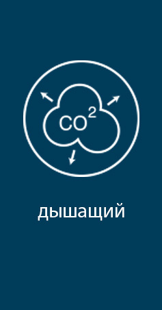 Array